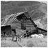 Barn At Steamboat